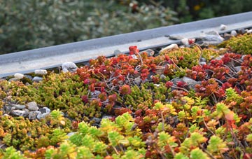the cost of Mosley Common green roof installation