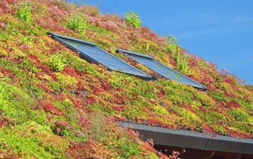 Mosley Common living roof systems